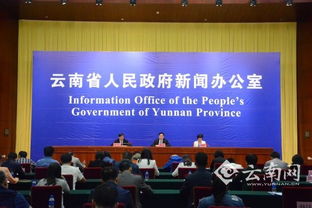 云南服务经济倍增计划 科技中介服务成为未来主攻方向